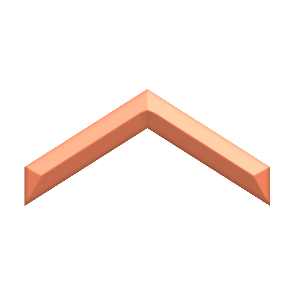 Bronze 1 operator insignia