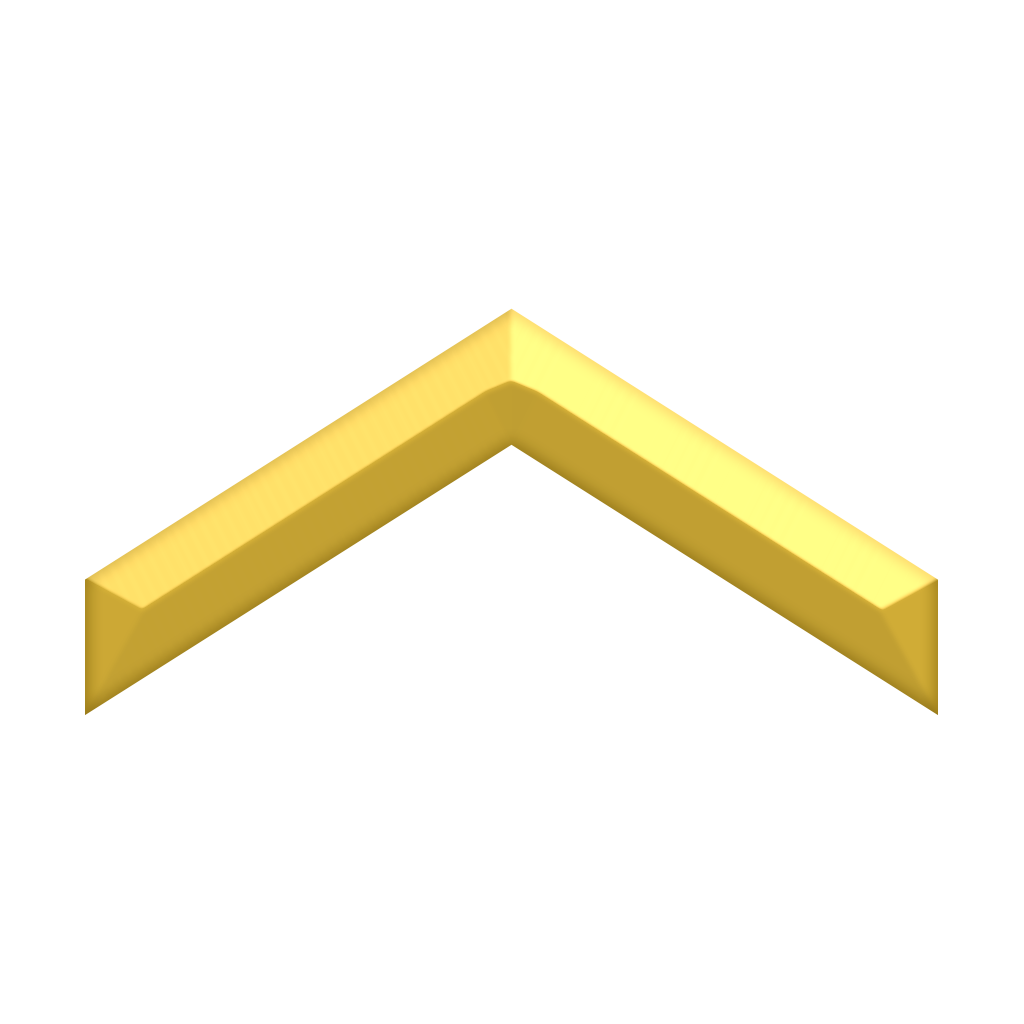 Gold 1 operator insignia